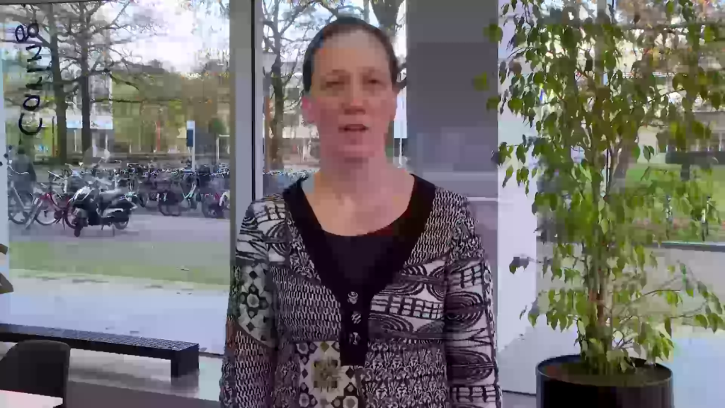 spelenderwijs taal leren