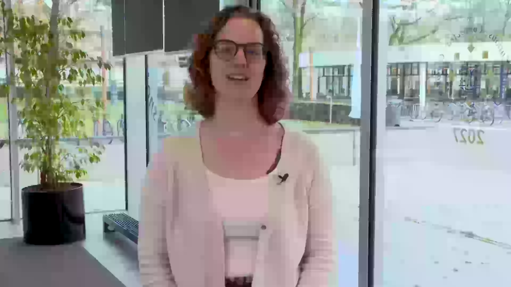 wat is het juiste taalniveau